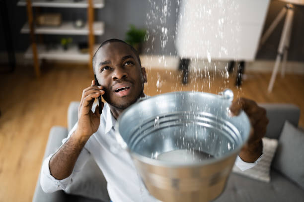 Best Professional water damage repair  in Richmond, MI