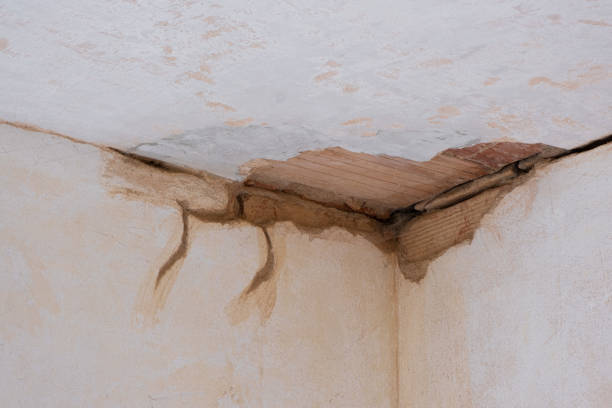 Best Commercial water damage restoration  in Richmond, MI