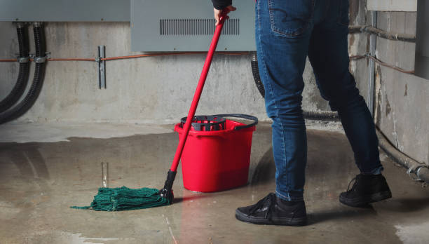 Best Water damage contractors near me  in Richmond, MI