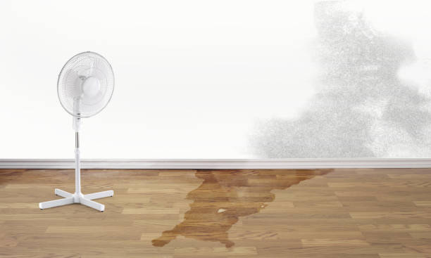 Best Ceiling water damage repair  in Richmond, MI