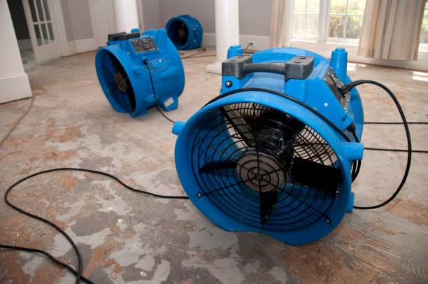 Best Local water damage restoration  in Richmond, MI