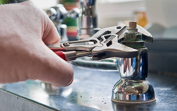 Best Flood restoration services  in Richmond, MI