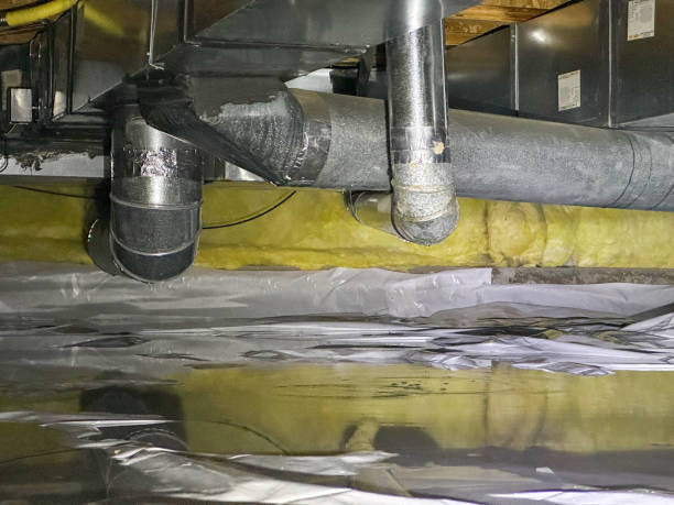 Best 24/7 water damage repair  in Richmond, MI